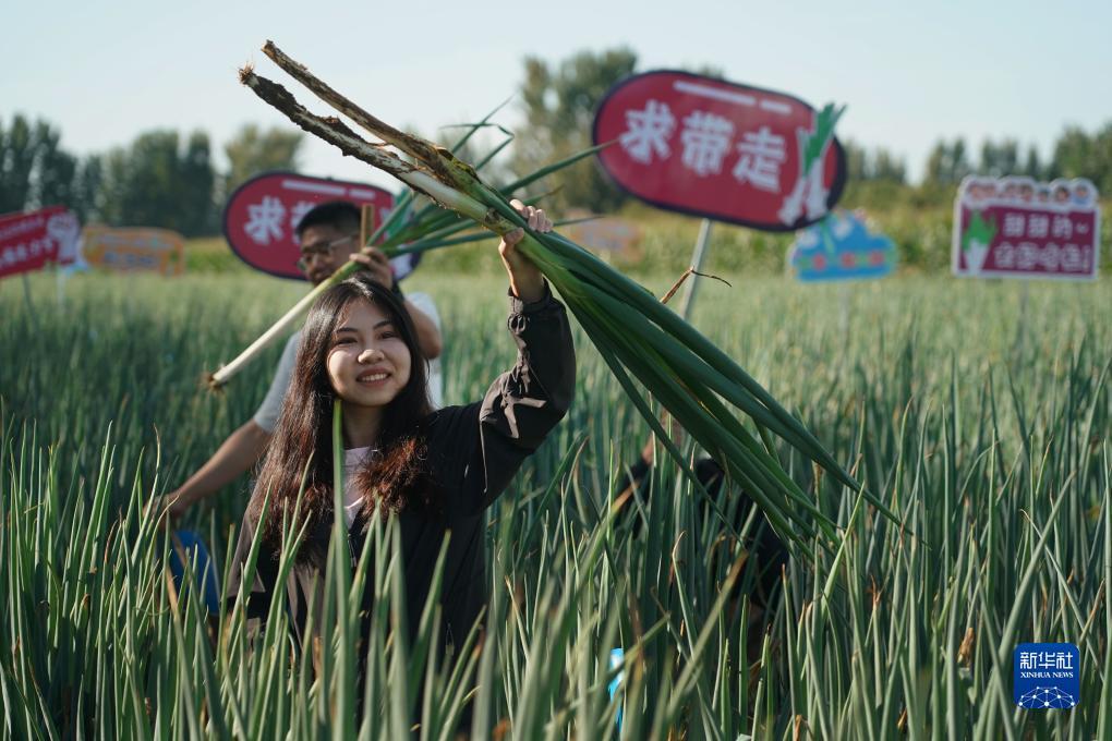 tt太阳娱乐